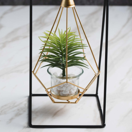 Iron Crafts #3 Single Hook Air Plant