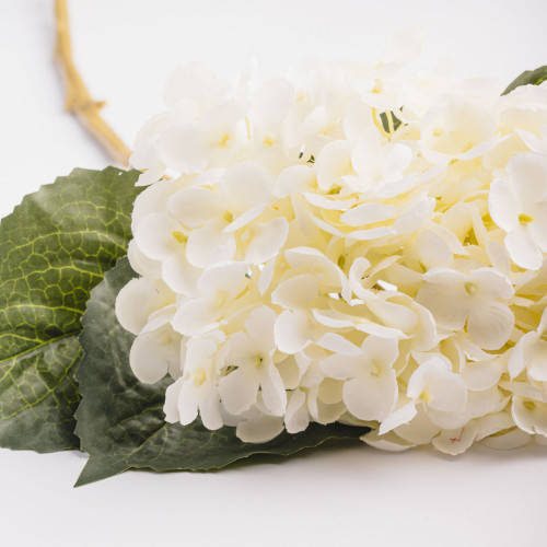 Euro Style Hydrangea Bunch - White 2