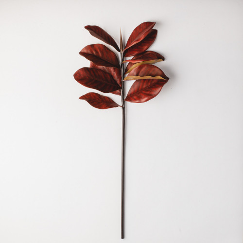 Magnolia Branches - Sunset Red