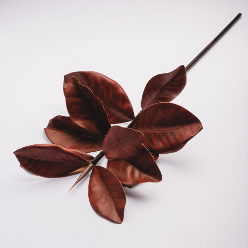 Magnolia Branches - Sunset Red 2