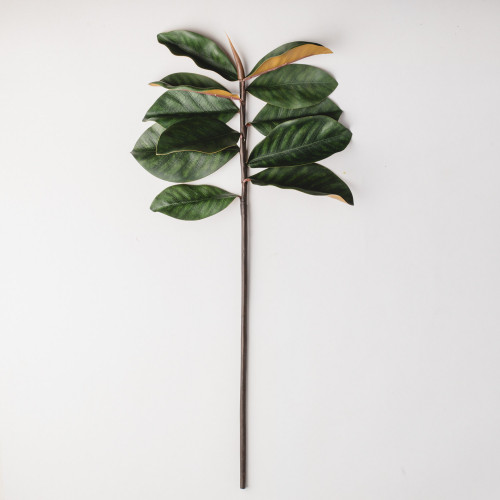 Magnolia Branches - Green