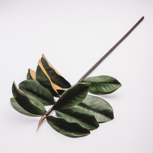 Magnolia Branches - Green 2