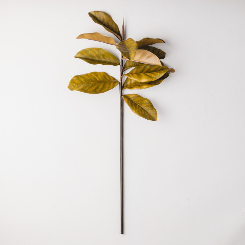 Magnolia Branches - Yellow