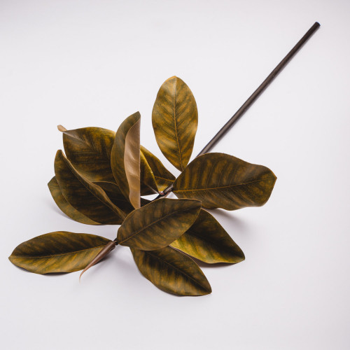 Magnolia Branches - Yellow 3