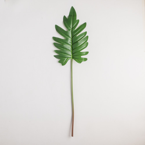 Leaf Branch Plant Spring Leaf