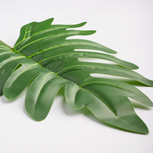 Leaf Branch Plant Spring Leaf 2