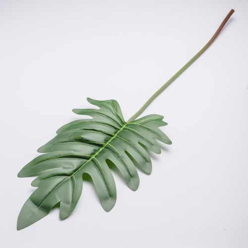 Leaf Branch Plant Spring Leaf 3