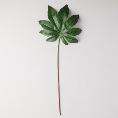 Leaf Branch Plant Octagonal Leaf