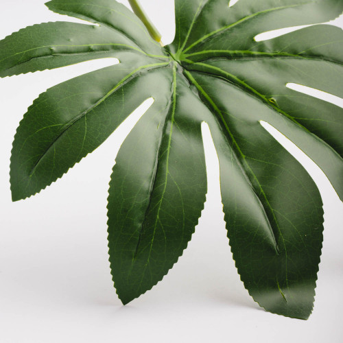 Leaf Branch Plant Octagonal Leaf 3