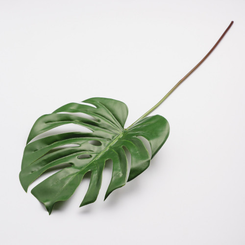 Leaf Branch Plant Turtle Leaf 2