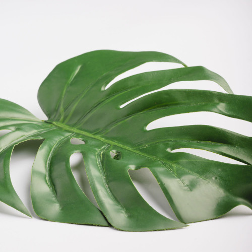 Leaf Branch Plant Turtle Leaf 3