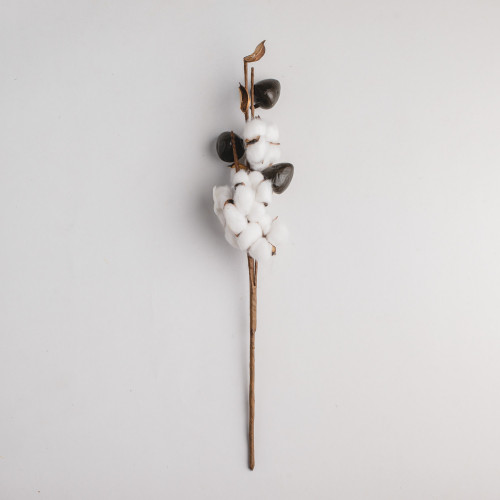 White Cotton Plant - Five Blossoms Bouquet