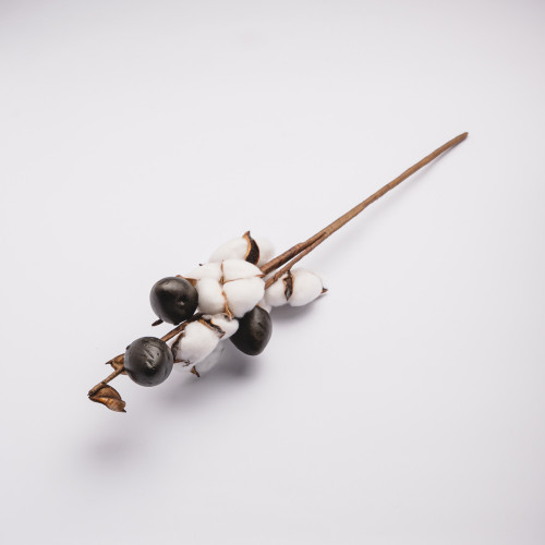 White Cotton Plant - Five Blossoms Bouquet 3