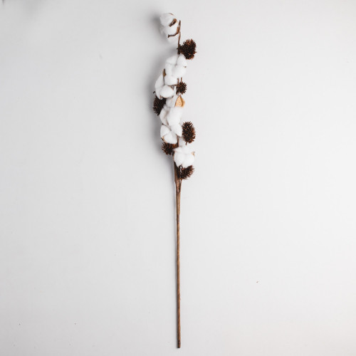 White Cotton Plant - Six Blossoms Bouquet