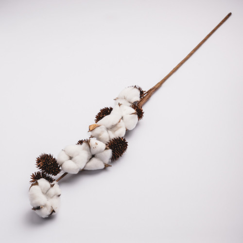 White Cotton Plant - Six Blossoms Bouquet 2