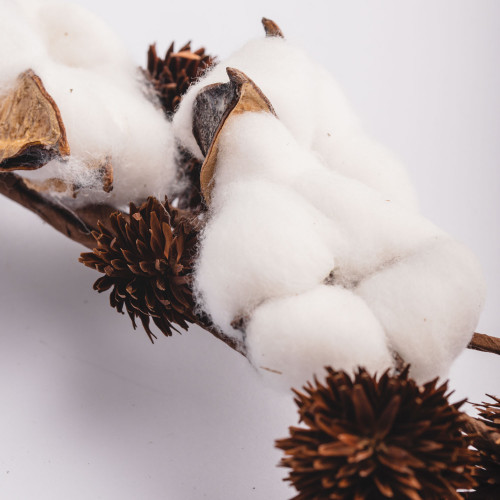 White Cotton Plant - Six Blossoms Bouquet 3