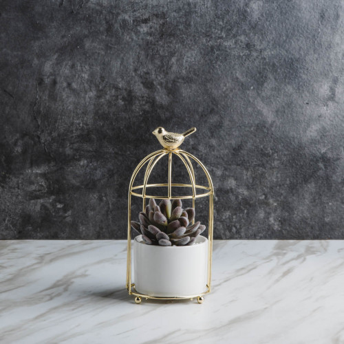 Bird's Cage Potted Plant #1 Prickly Aloe