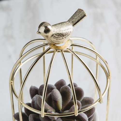 Bird's Cage Potted Plant #5 Red Chitose 3