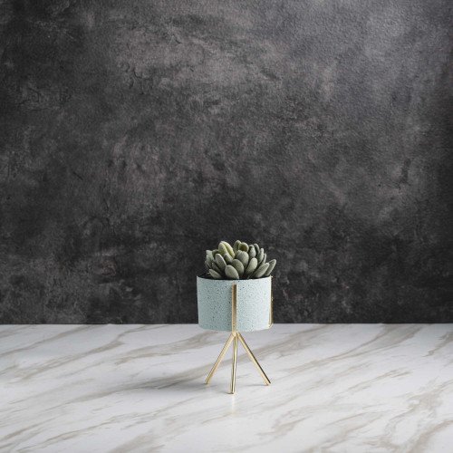 Botany Potted Plant #5 Snow Lotus