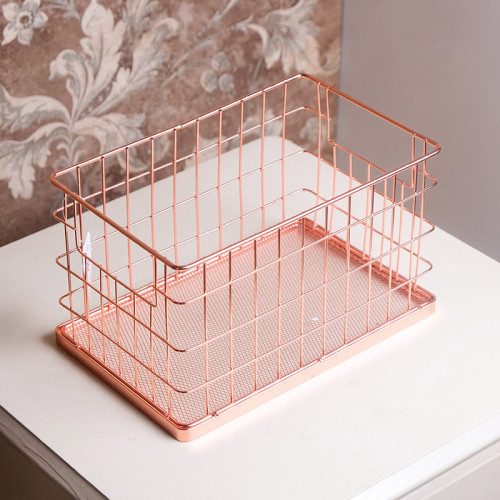 Botany Potted Plant #1 Fairy Trumpet 5