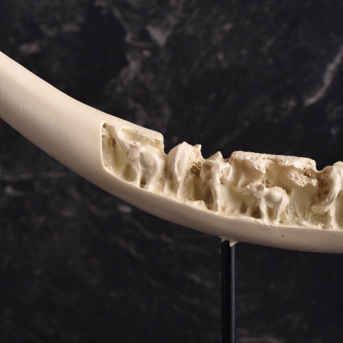 Ivory Tusk Antique Standing Décor 2