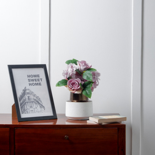 Native Potted Plant #4 Mini Cactus 5