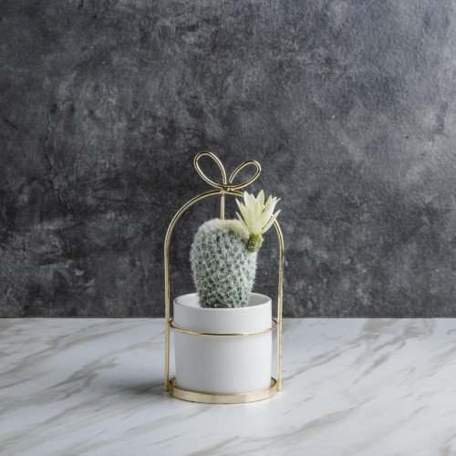 Succulent Plant Décor #7 Yellow Agave