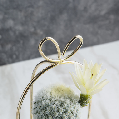 Succulent Plant Décor #7 Yellow Agave 4