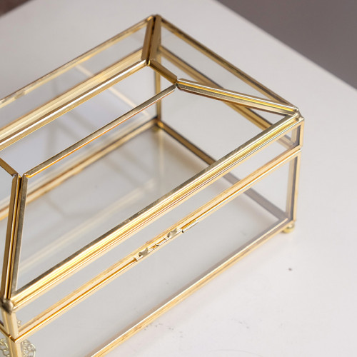 Transparent Large Tissue Box 23 x 11.8cm 4