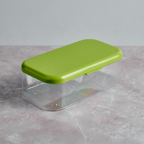 Transparent Plastic Container 24 x 14.2 x 8.4cm