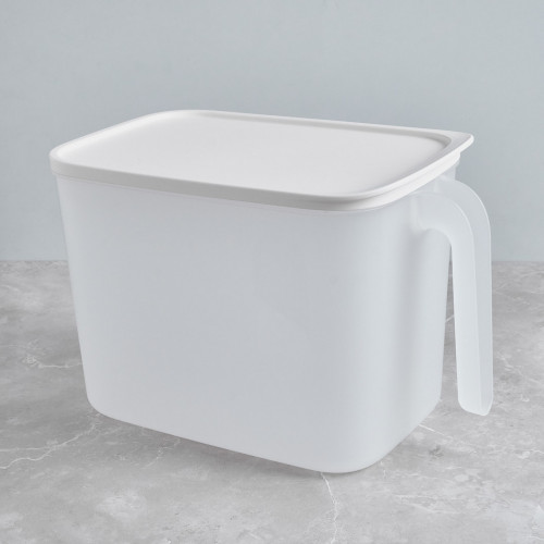 Transparent Sealed Storage with Handle - 32 x 18.5 x 21cm