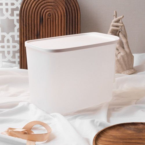 Transparent Sealed Storage with Handle - 32 x 18.5 x 21cm 6