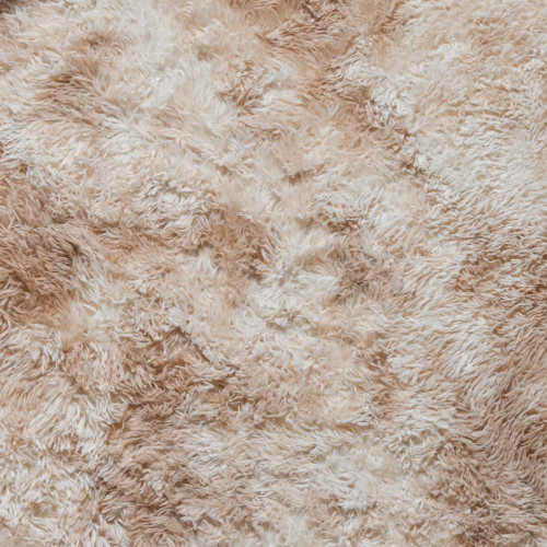 Cozhome Fluffy Area Rug 160x230cm - Beige 4