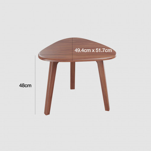 Sophie & Raphael Coffee Table 6