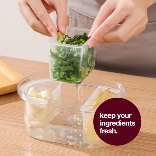 Multi-grid Food Storage Box 17.5 x 10.7cm 4