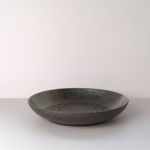 Dark Shaded Wide Rim Bowl 10" 2