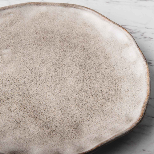 Sliver Tint Gray Dinner Plate 10" 3