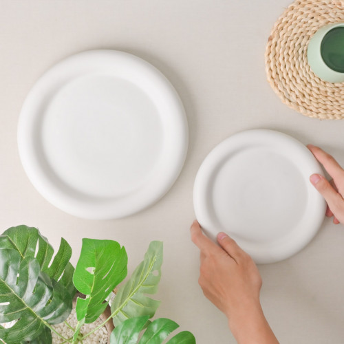 Snowdrop Glaze Presentation Plate 10" 2