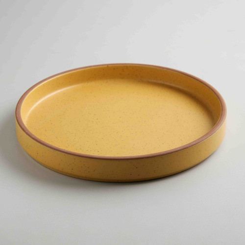 Vestige-Copper Glaze Dinner Plate 8.7"